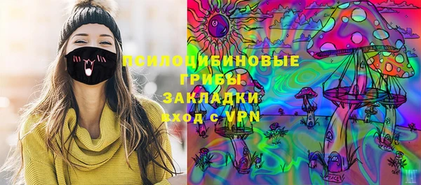 шишки Алзамай