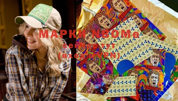 шишки Алзамай