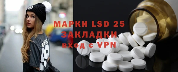шишки Алзамай